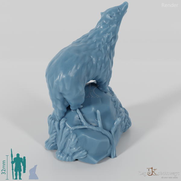 Dachs - Neugieriger Dachs auf Felsen