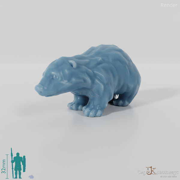 Badger - Small young badger