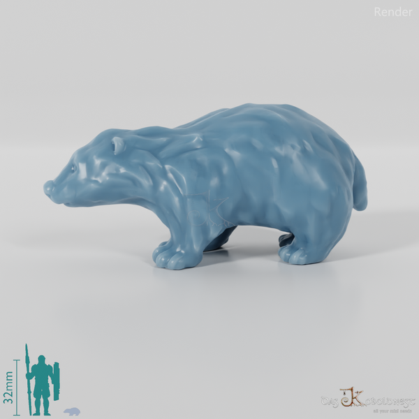 Badger - Small young badger