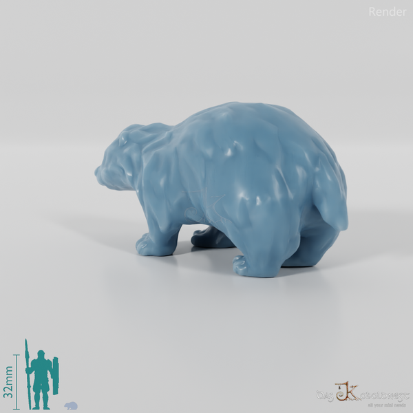 Badger - Small young badger