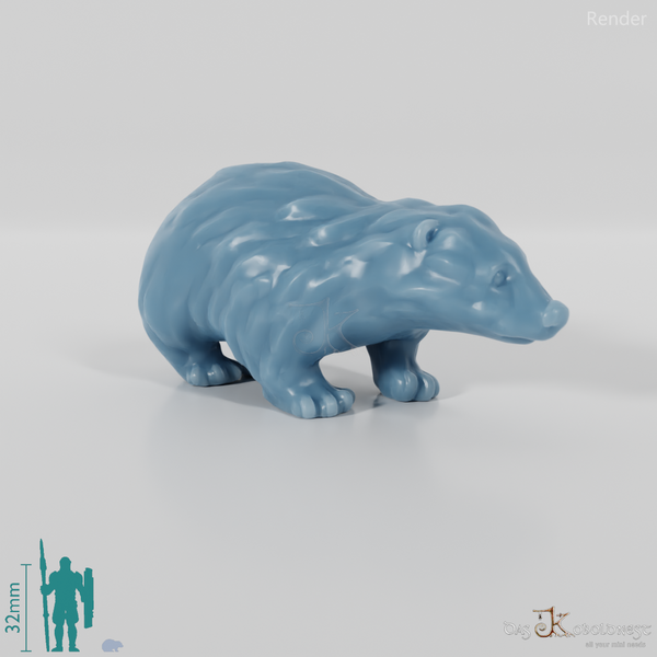 Badger - Small young badger