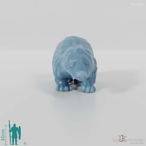 Badger - Small young badger