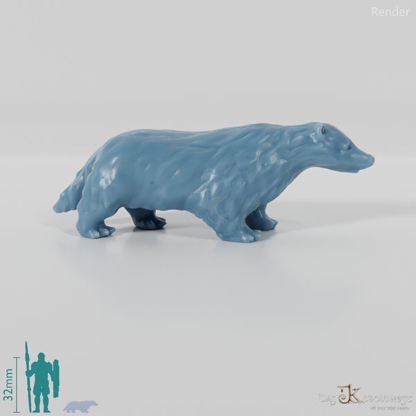Badger - Standing