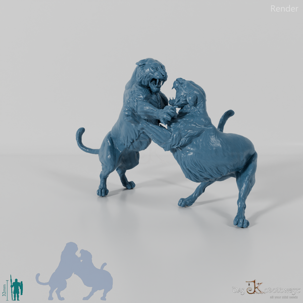 Big Cat - Bengal Tiger - Fighting