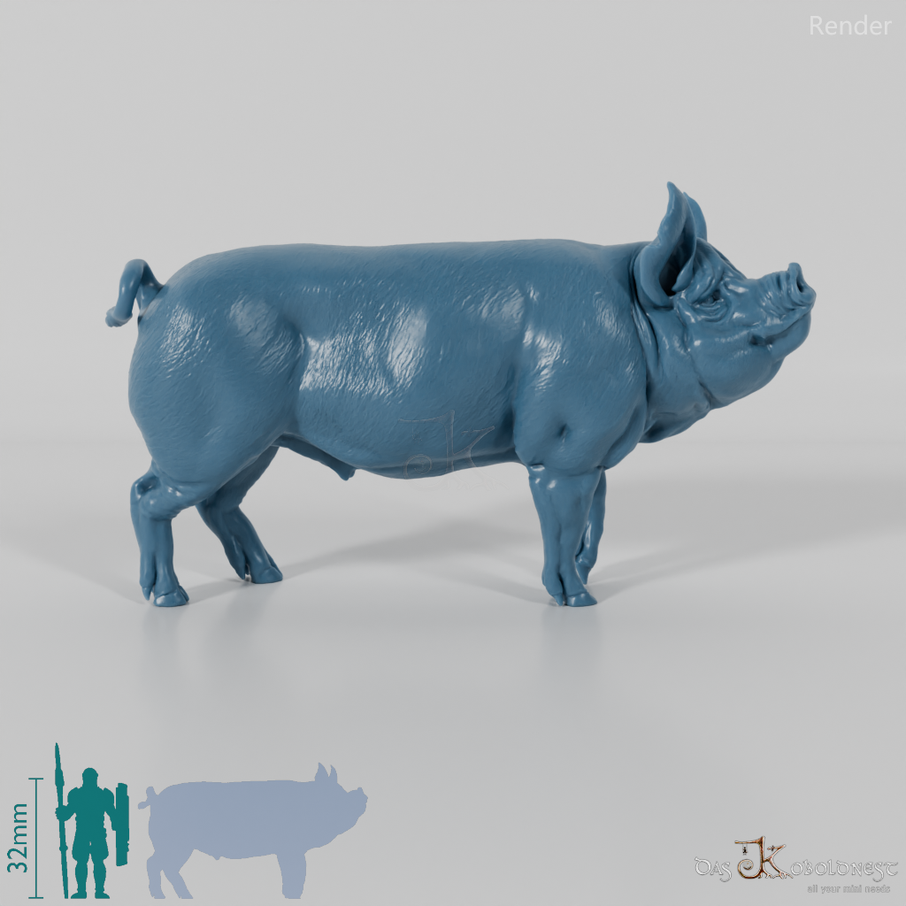 Pig - Berkshire Boar 01