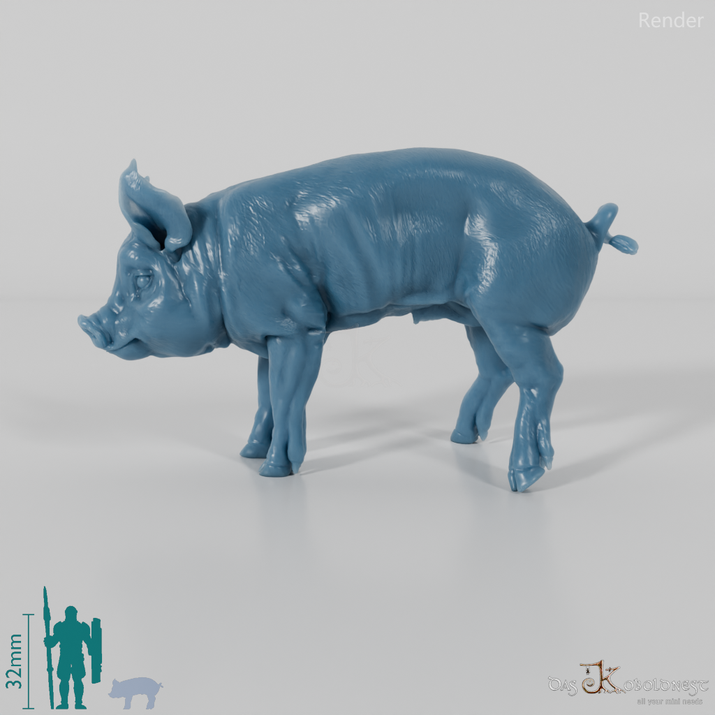 Pig - Berkshire Piglets 01