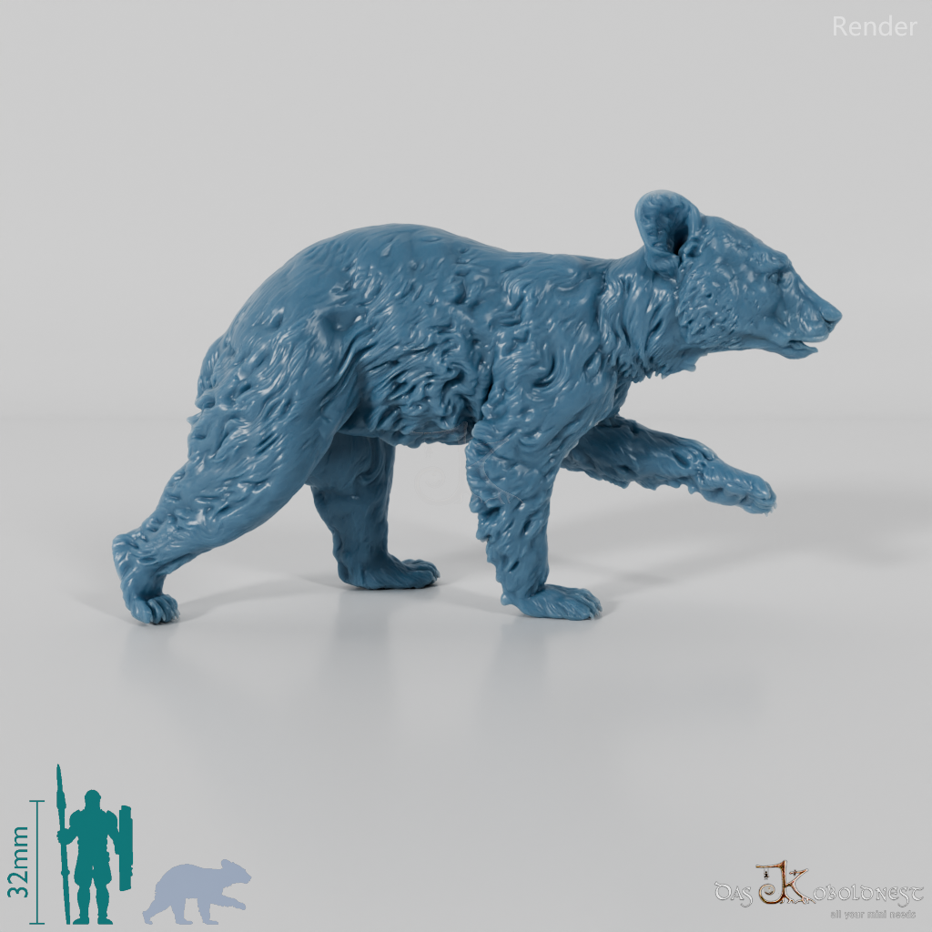 Bär - Amerikanischer Schwarzbär - Jungtier 01