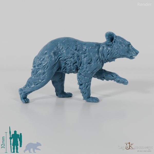 Bär - Amerikanischer Schwarzbär - Jungtier 01