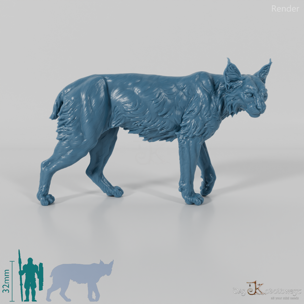 Lynx - Bobcat 01