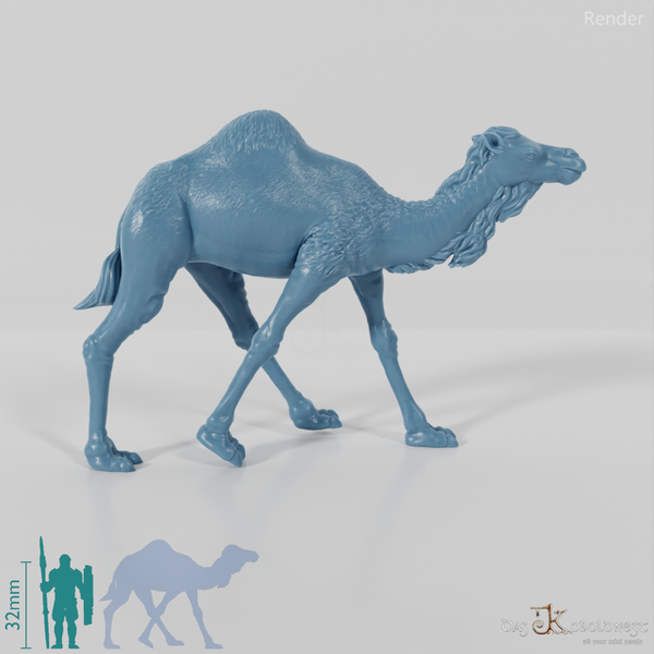 Tribal warrior camel