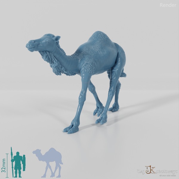 Tribal warrior camel