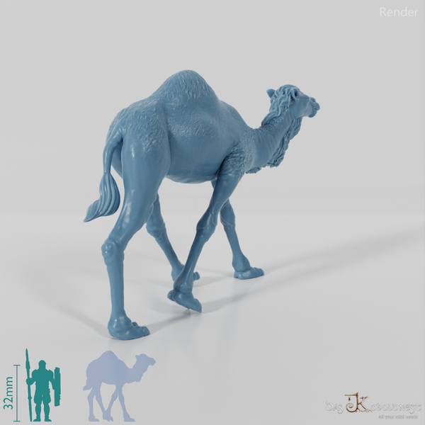 Tribal warrior camel