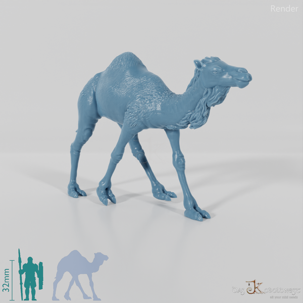 Tribal warrior camel