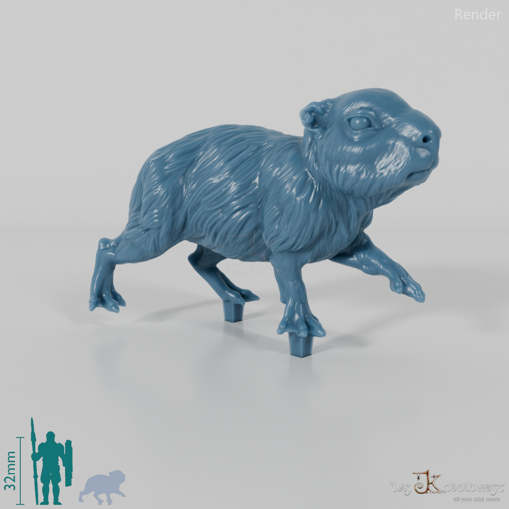 Capybara - Jungtier 01