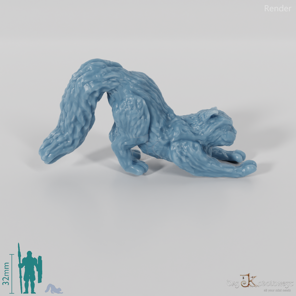 Cat - Stretching cat