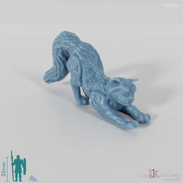 Cat - Stretching cat