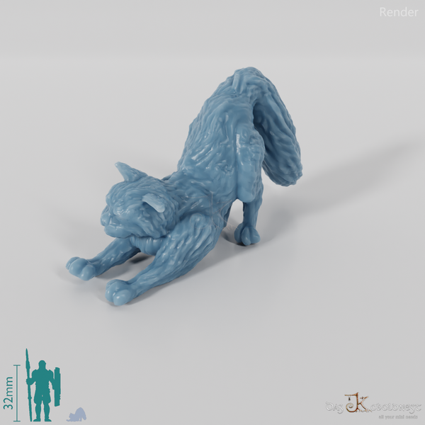 Cat - Stretching cat