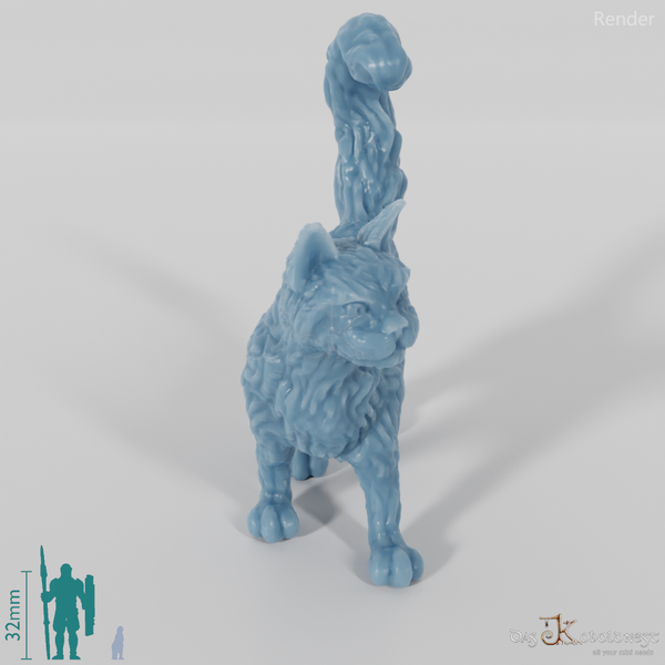 Cat - Interested cat