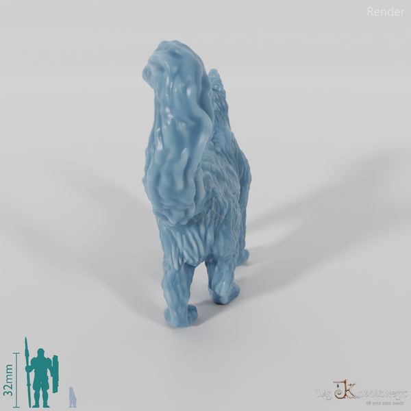 Cat - Interested cat