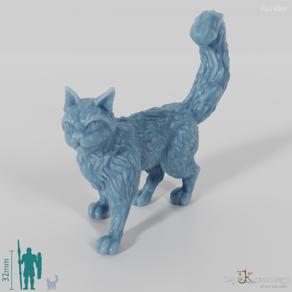 Cat - Interested cat