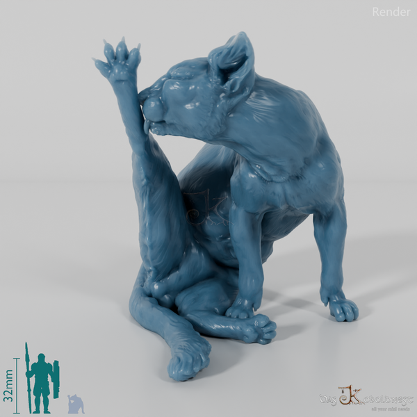 Cat - domestic cat 03