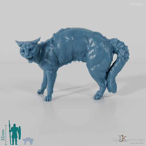 Cat - domestic cat 04