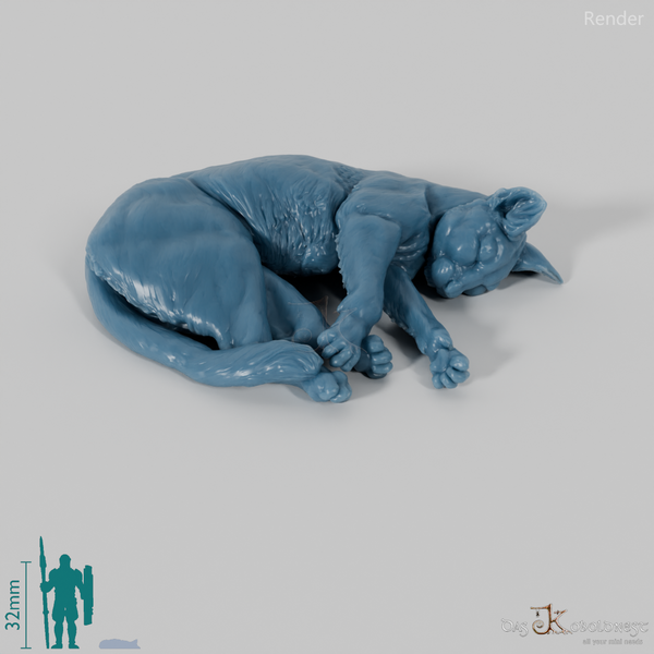 Cat - domestic cat 05