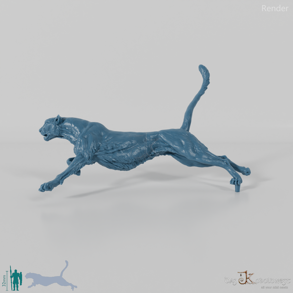 Big Cat - Cheetah 01