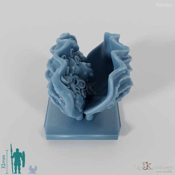 Shell - Treasure-filled shell