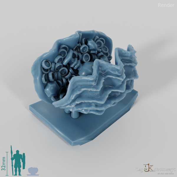 Shell - Treasure-filled shell