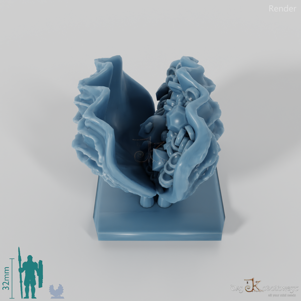 Shell - Treasure-filled shell