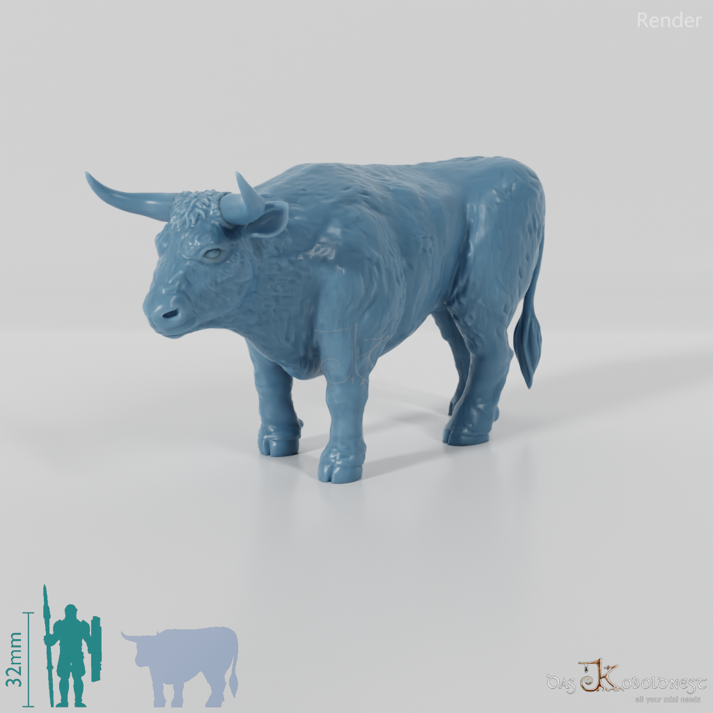 Cattle - Standing Bull