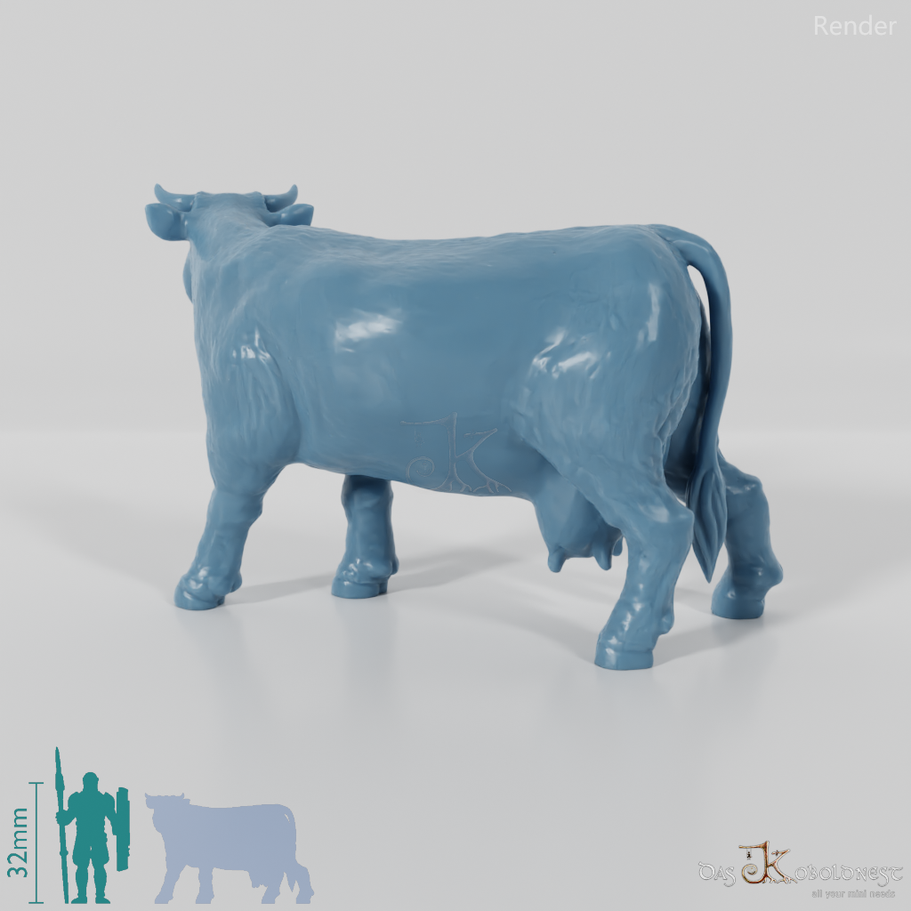 Cattle - Curious cow