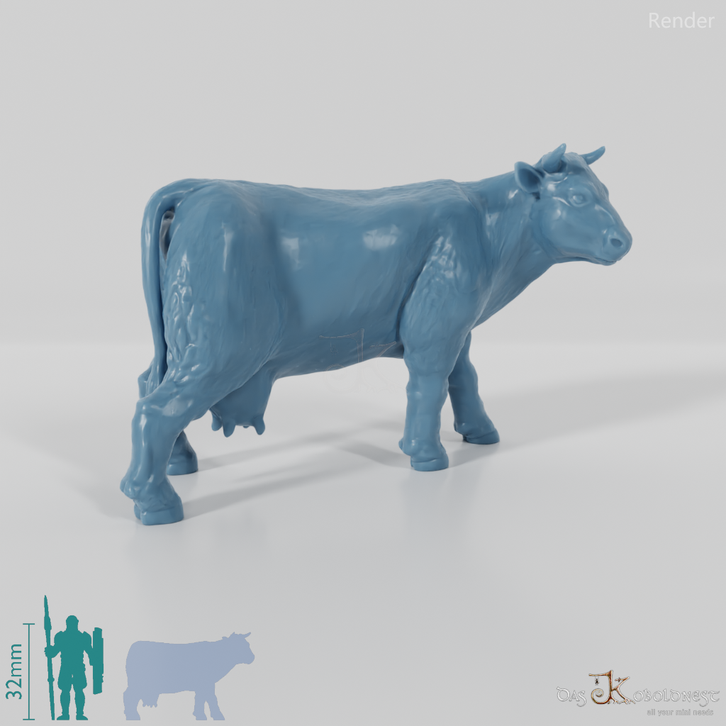 Cattle - Curious cow