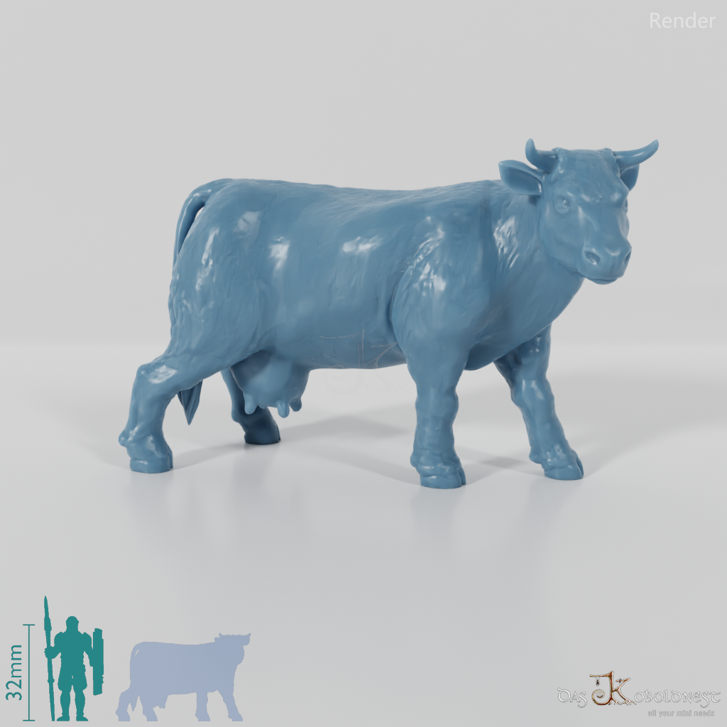 Cattle - Curious cow