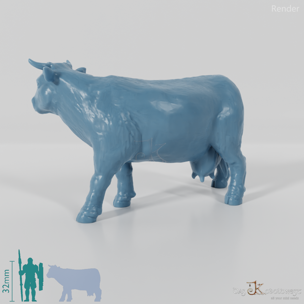 Cattle - Curious cow