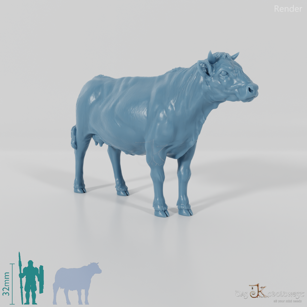 Beef - domestic cow 01