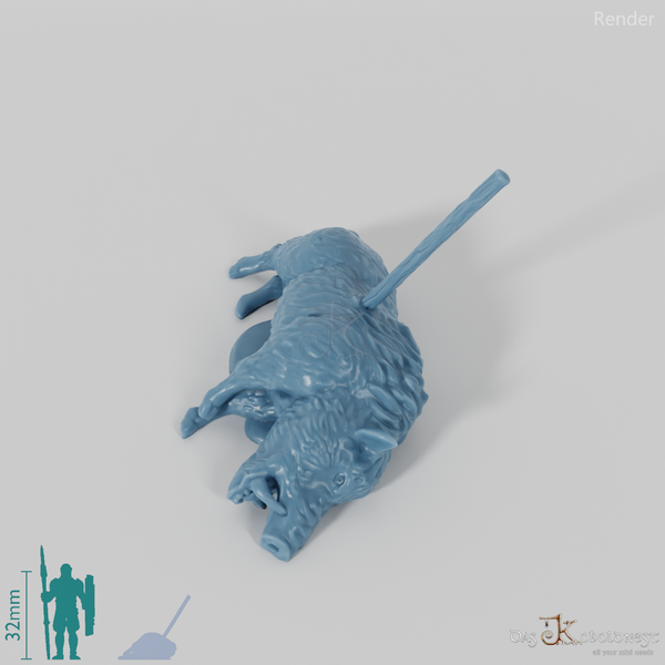 Kadaver - Erlegtes Wildschwein