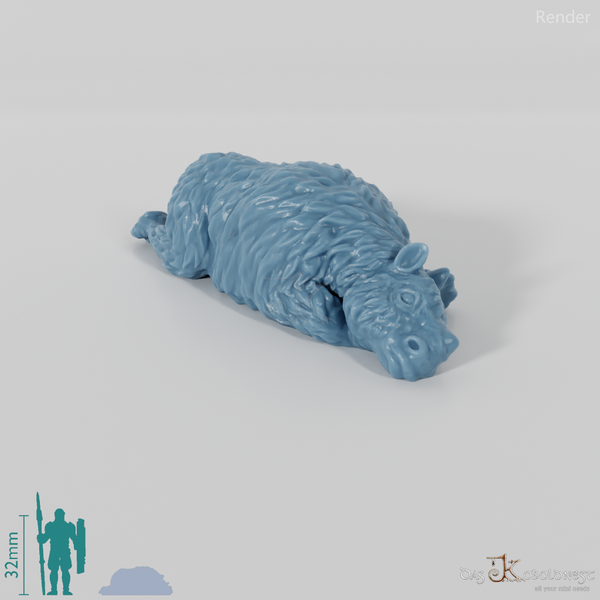 Coelodonta - Dead woolly rhinoceros calf