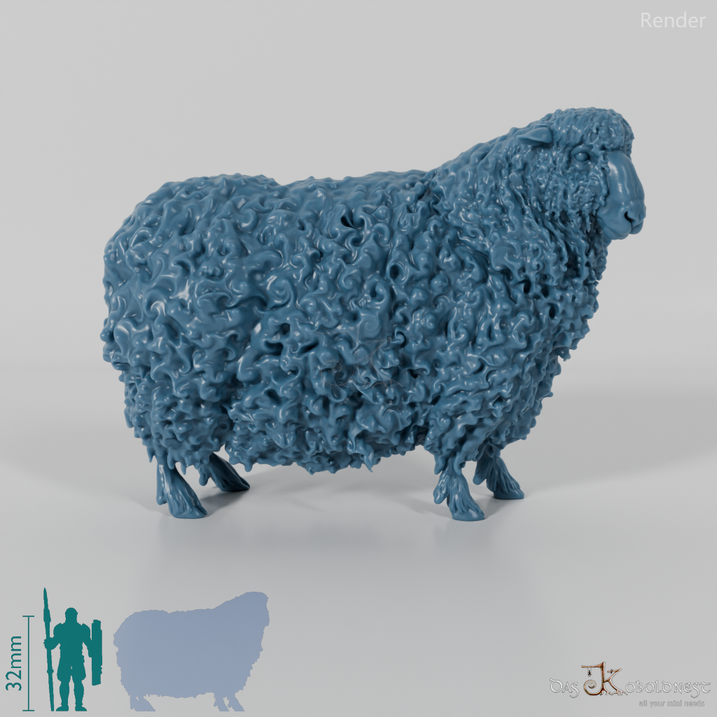 Sheep - Devon and Cornwall Longwool - Sheep 02