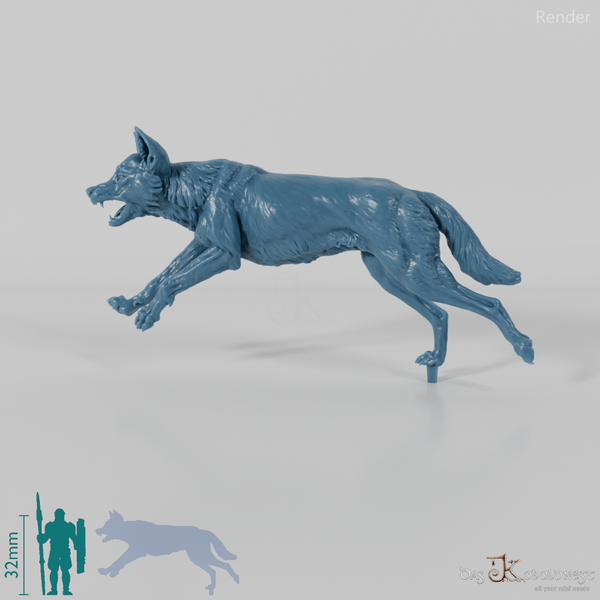 Dog - Australian Dingo 02