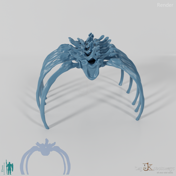 Drachenskelett - Wirbelsäule A 01