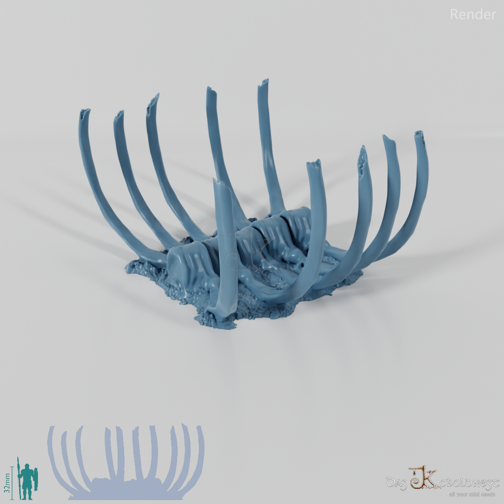 Dragon skeleton - spine A 02