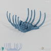 Dragon skeleton - spine A 02