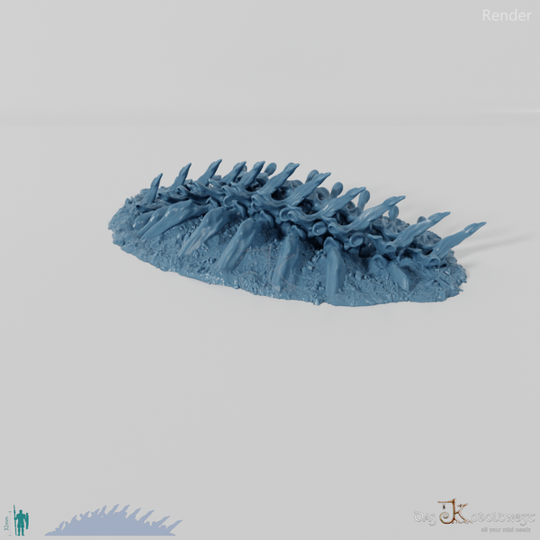 Dragon Skeleton - Spine B