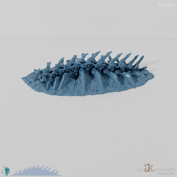 Dragon Skeleton - Spine B