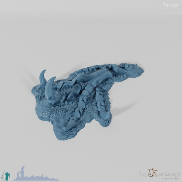 Drachenskelett - Klaue B