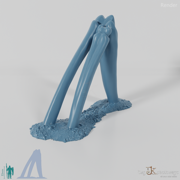 Drachenskelett - Ellenbogen