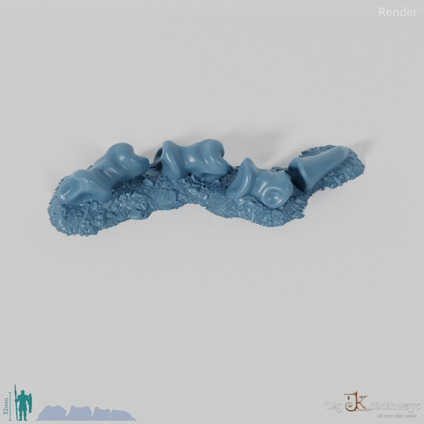 Drachenskelett - Fingerknochen