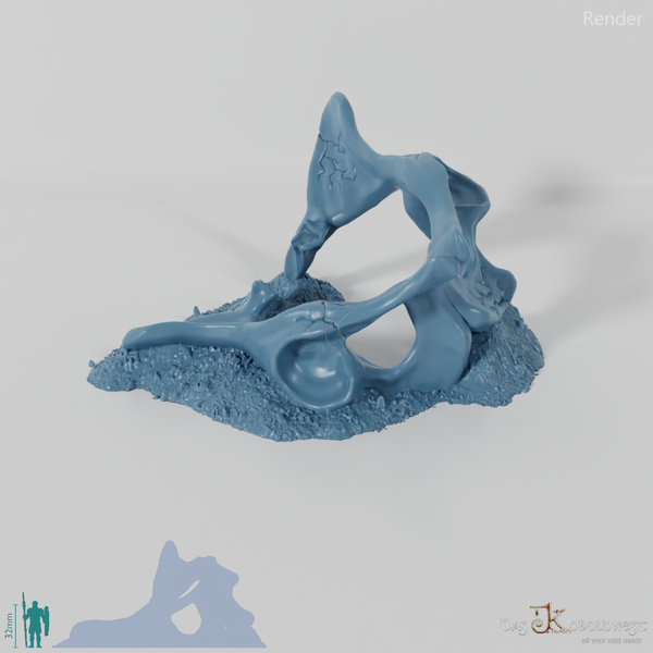 Dragon skeleton - hip bones